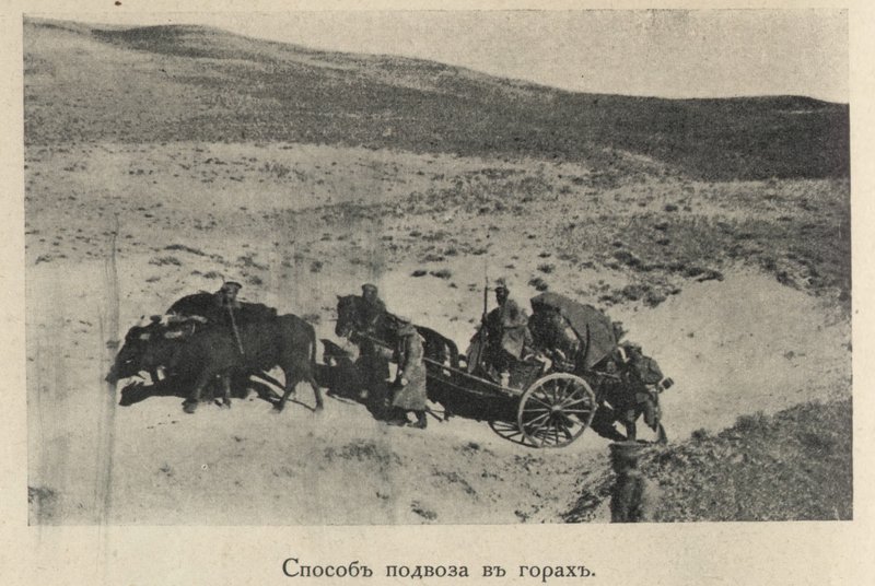 106.jpg