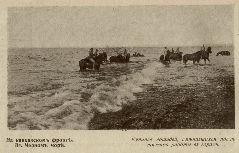 Итоги7.jpg