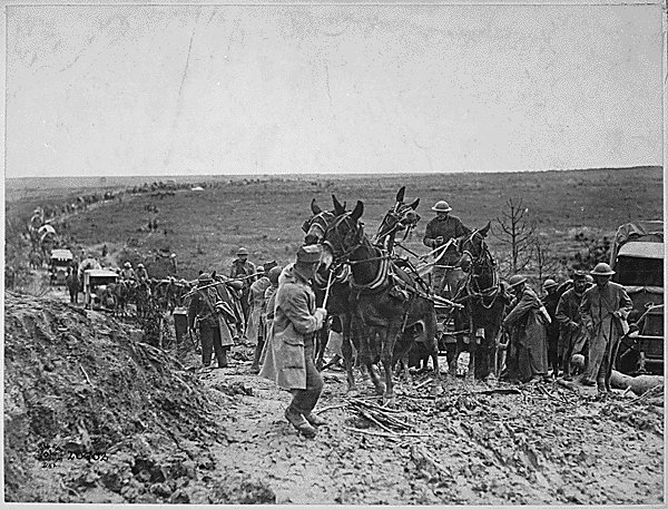 Мулы в американской армии. Сант Баушант, Франция 13 сентября 1918 г..jpg