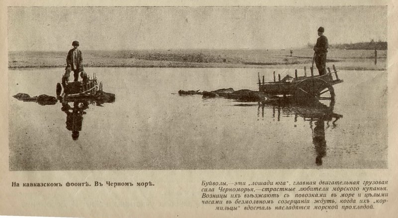 итоги8.jpg