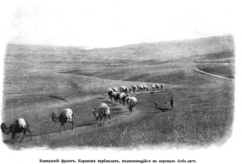 лет131 (1).jpg