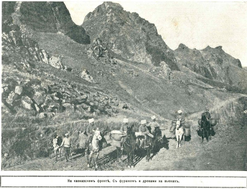 niva02_10_1916.jpg